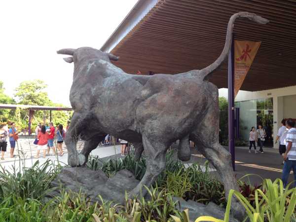 The Magnificent Bull