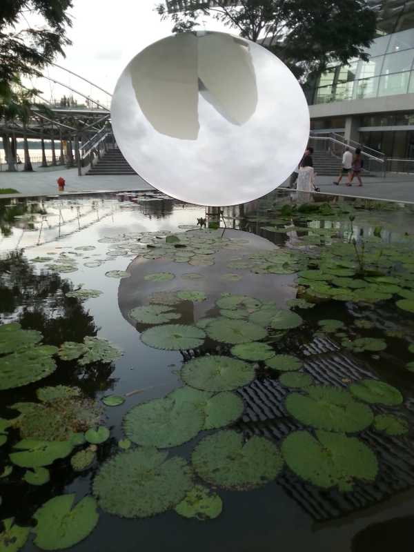 Sky Mirror